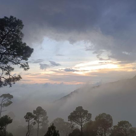 The Western Heights I Serviced Apartments I Pvt Balcony I Lift I Peacefull Area I Family Accomodation I Kasauli I By Exotic Stays ภายนอก รูปภาพ