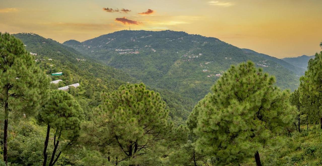 The Western Heights I Serviced Apartments I Pvt Balcony I Lift I Peacefull Area I Family Accomodation I Kasauli I By Exotic Stays ภายนอก รูปภาพ