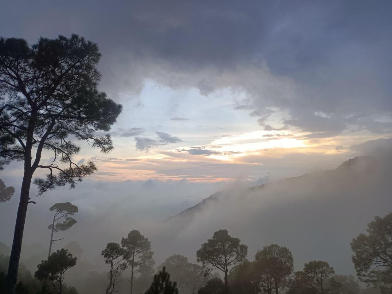 The Western Heights I Serviced Apartments I Pvt Balcony I Lift I Peacefull Area I Family Accomodation I Kasauli I By Exotic Stays ภายนอก รูปภาพ